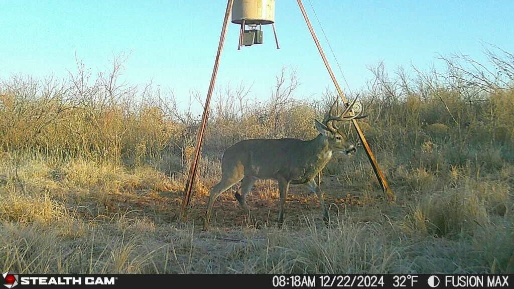 Fm657 Lakeview, TX 79239 - Photo 45 of 57 tempImagezKMm5h