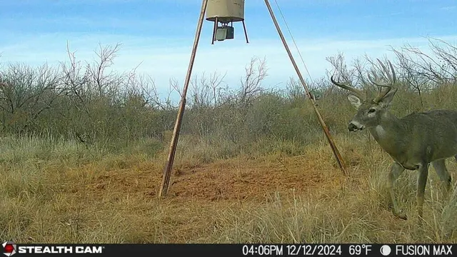 $475,824 | Fm657, Lakeview, TX 79239