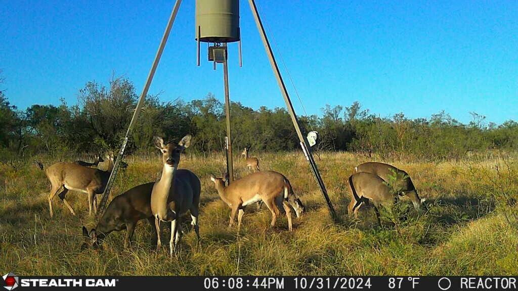 Fm657 Lakeview, TX 79239 - Photo 47 of 57 tempImage2l34SG