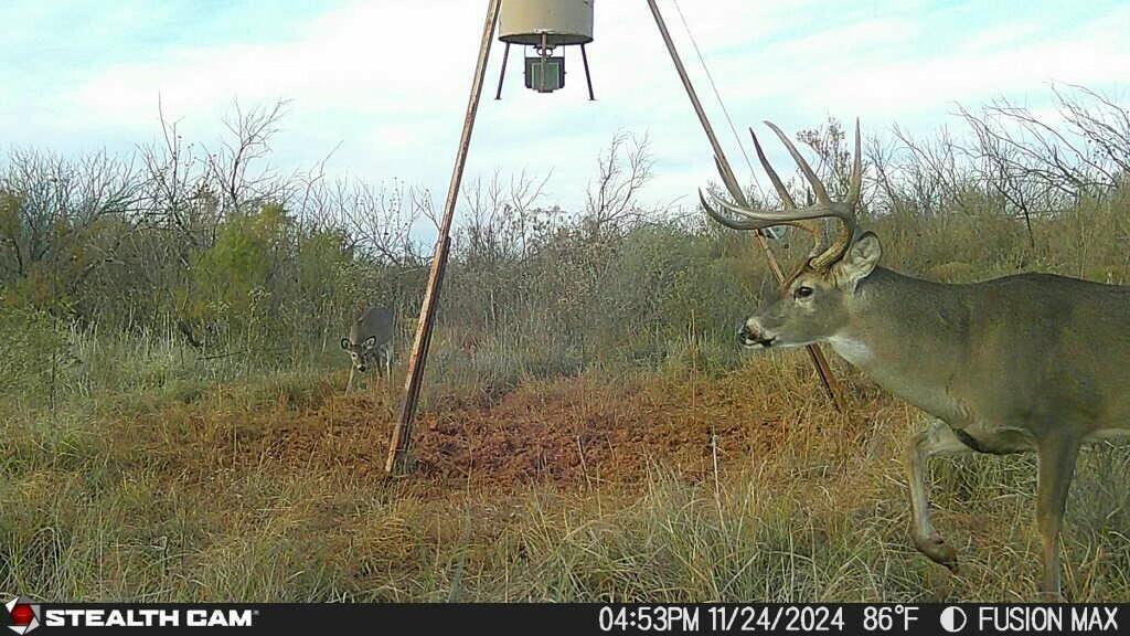 Fm657 Lakeview, TX 79239 - Photo 48 of 57 tempImage88W9U6