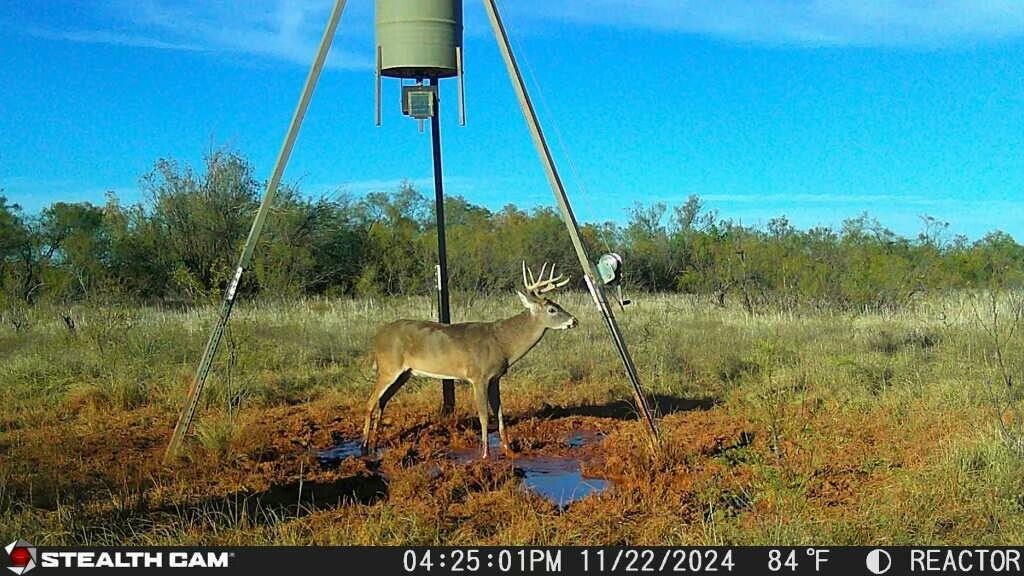 Fm657 Lakeview, TX 79239 - Photo 49 of 57 tempImageK1rVze