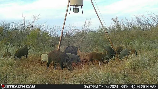 $475,824 | Fm657, Lakeview, TX 79239