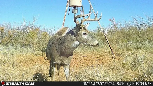 $475,824 | Fm657, Lakeview, TX 79239