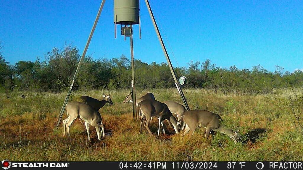 Fm657 Lakeview, TX 79239 - Photo 52 of 57 tempImager0pPvT
