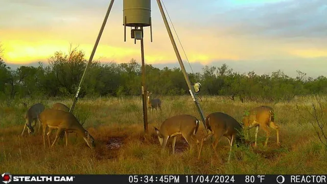 $475,824 | Fm657, Lakeview, TX 79239