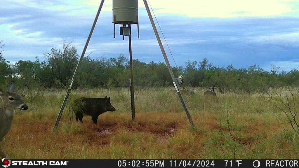 Fm657 Lakeview, TX 79239 - Photo 55 of 57 tempImageAkXmYS