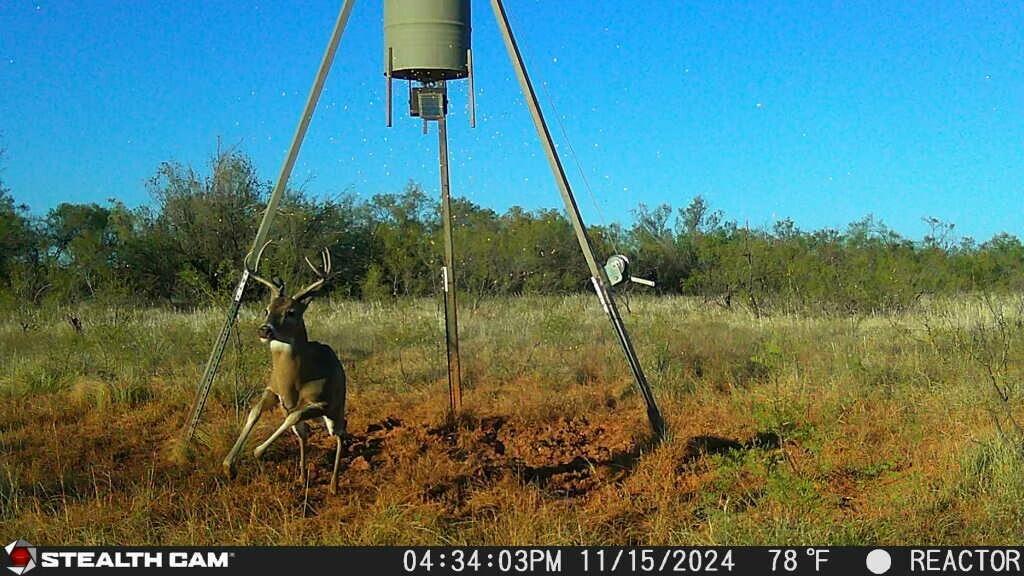 Fm657 Lakeview, TX 79239 - Photo 56 of 57 tempImageayZM85