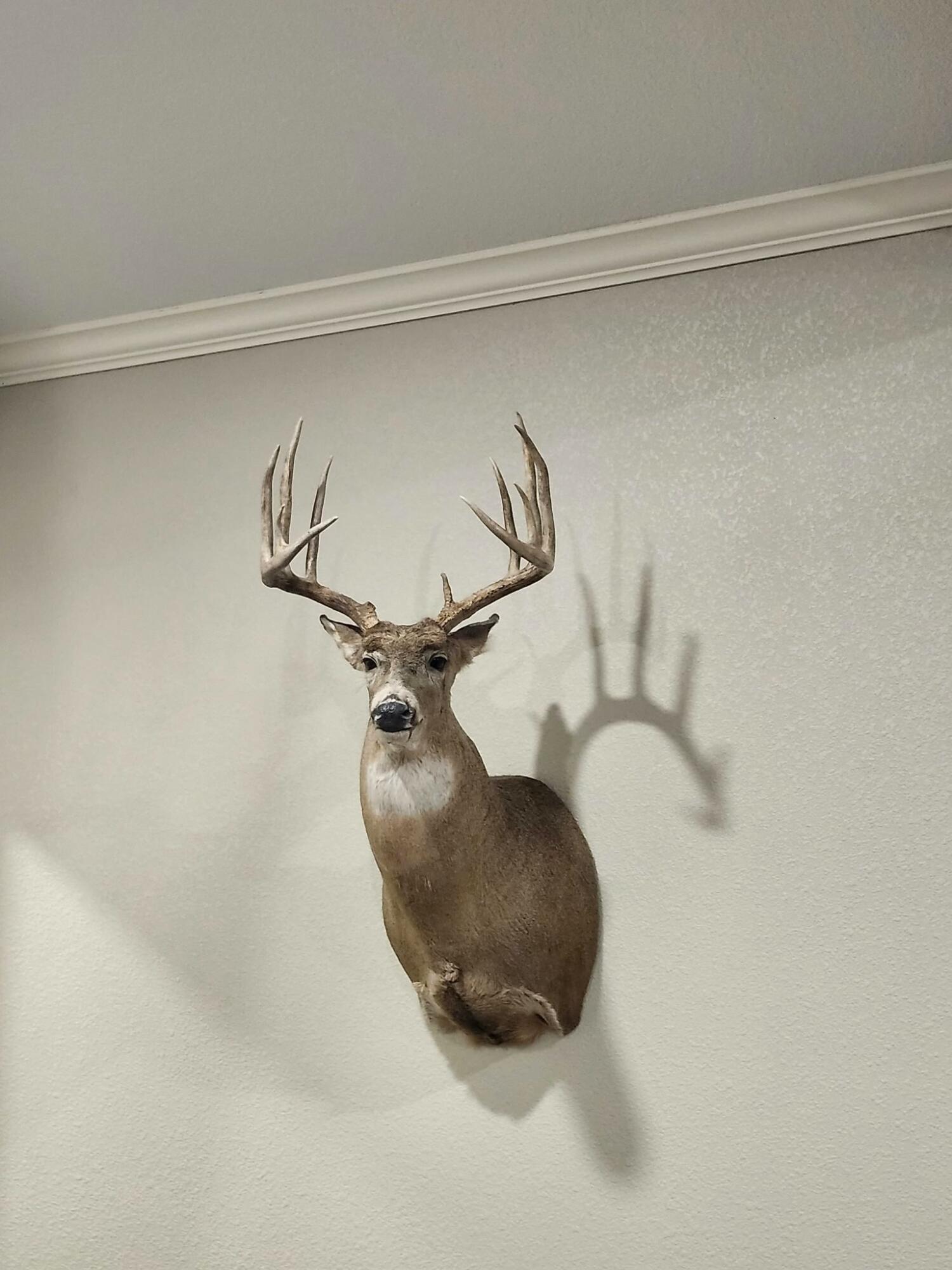 Fm657 Lakeview, TX 79239 - Photo 57 of 57 tempImageeYgZl3