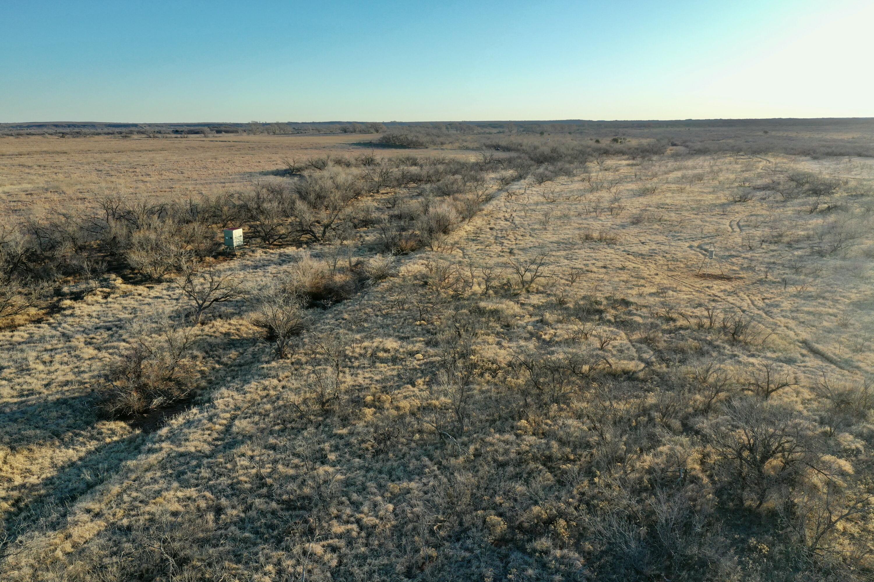 Fm657 Lakeview, TX 79239 - Photo 6 of 57 tempImageVSyXsF