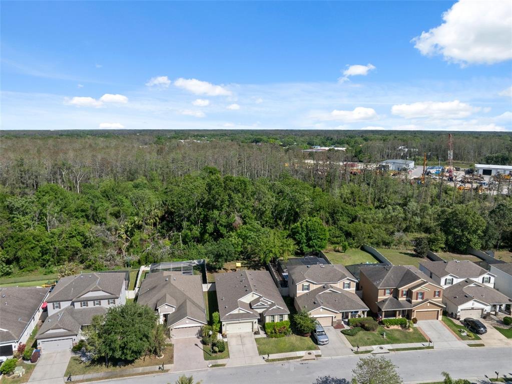 1250 Halapa Way Trinity, FL 34655 - Photo 41 of 55 Gallery Image 41