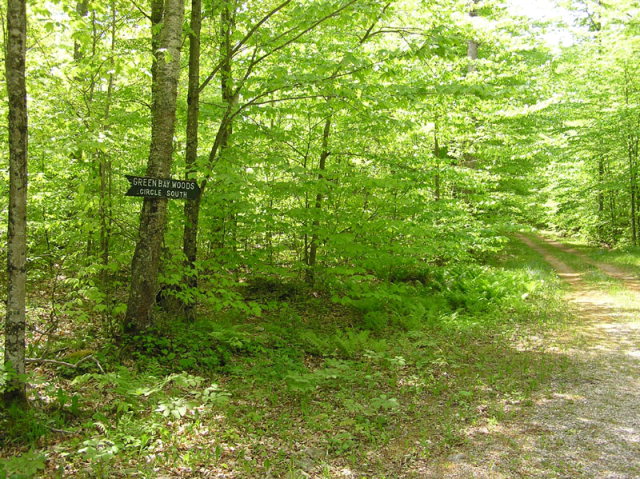 Green Bay Woods Road Washington Island, WI 54246 - Photo 1 of 1
