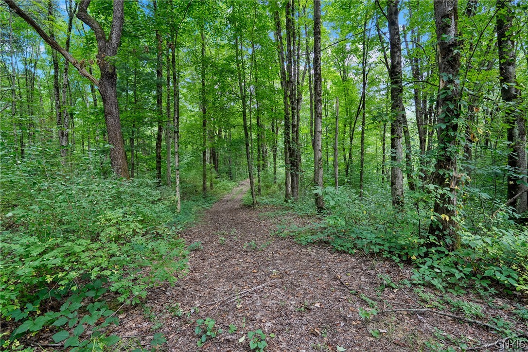 145 Island Road Palermo, NY 13135 - Photo 48 of 50 Gallery Image 48
