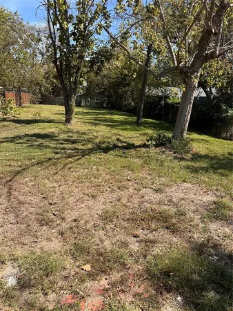 a view of a yard with a tree
