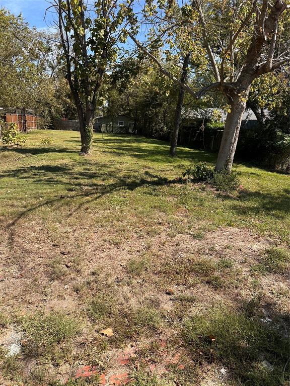 824 North Virginia Street Terrell, TX 75160 - Photo 19 of 21 a view of a yard with a tree