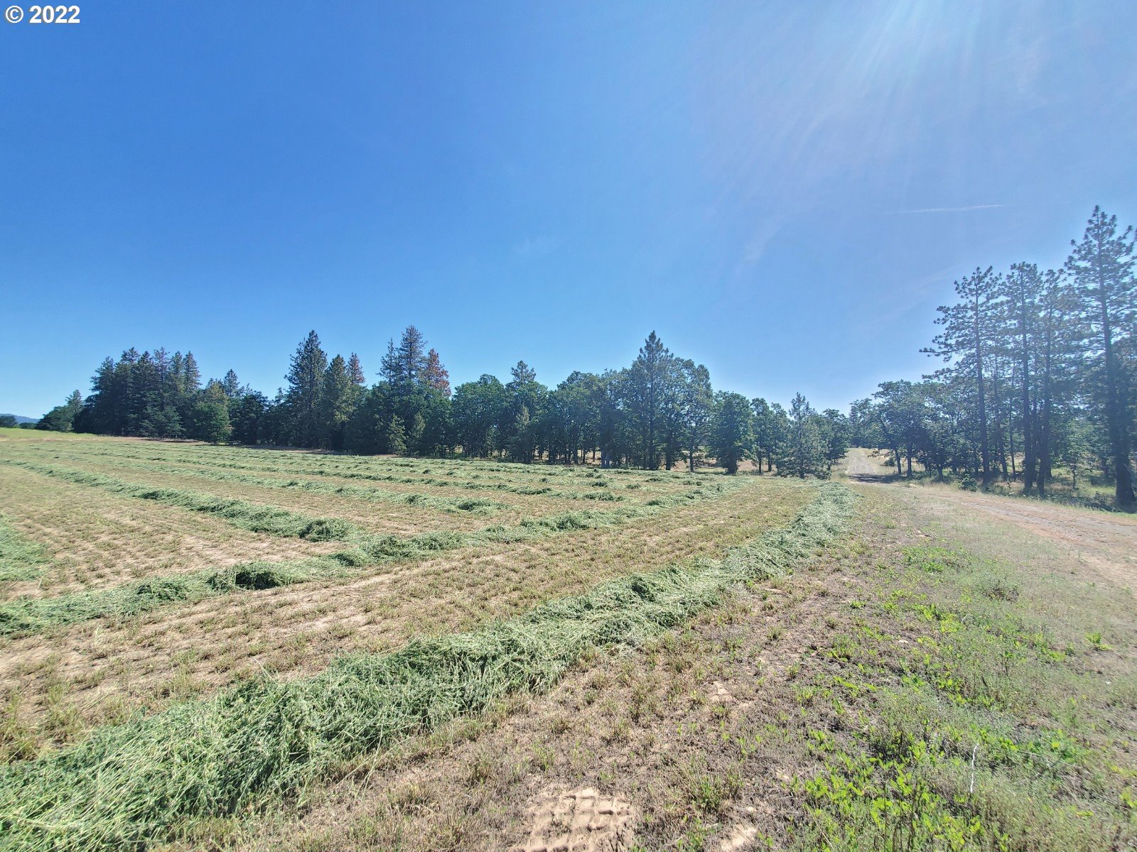 15 Chianti Road Goldendale, WA 98620 - Photo 3 of 11 Gallery Image 3