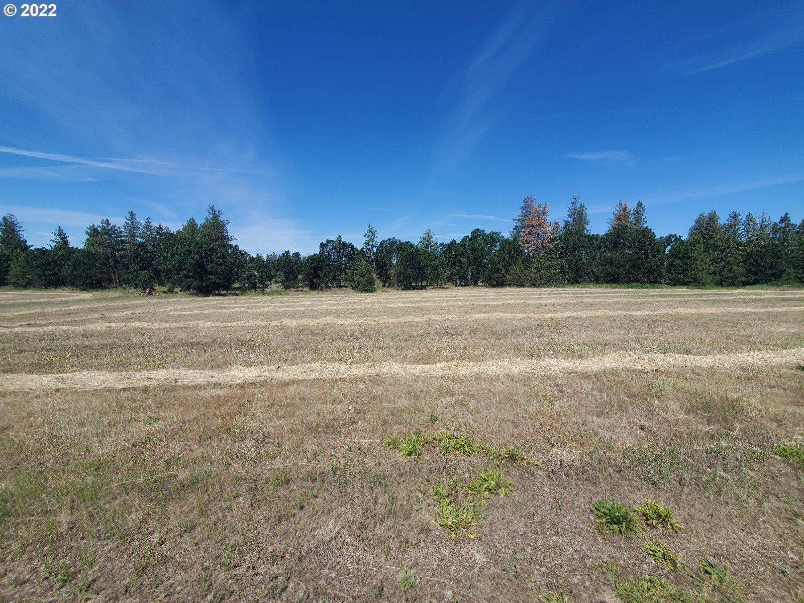15 Chianti Road Goldendale, WA 98620 - Photo 8 of 11 Gallery Image 8