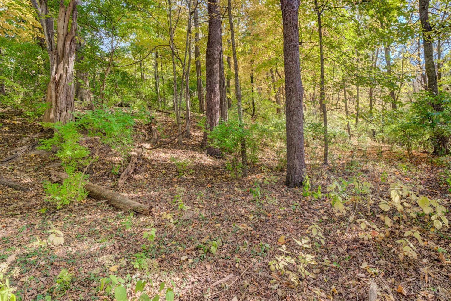 7867 Camargo Road Madeira, OH 45243 - Photo 5 of 12
