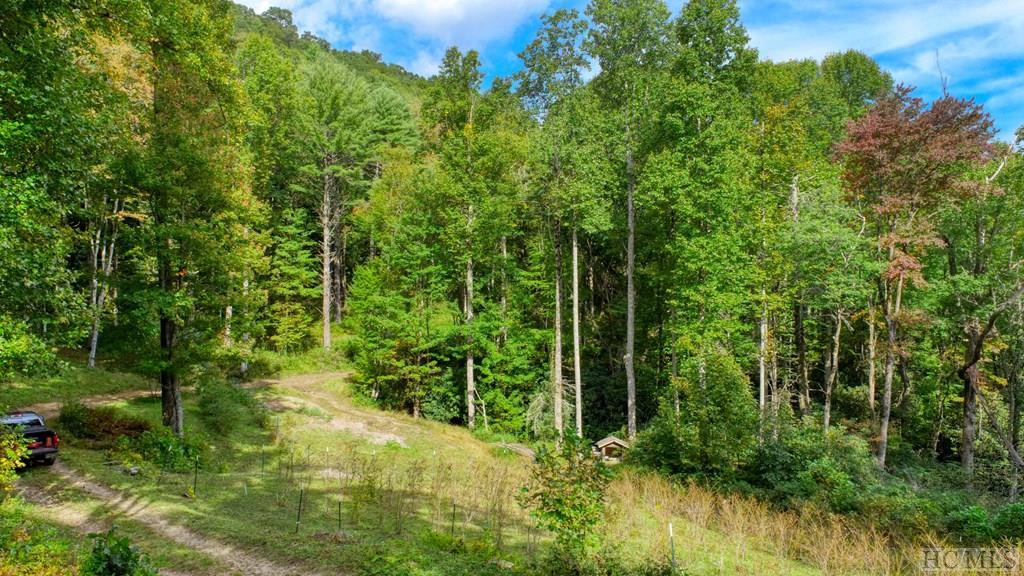 Off Jack Wilcox Road Highlands, NC 28741 - Photo 1 of 25 Gallery Image 1