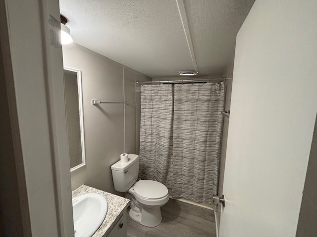 464 Dover Chapel Road Ellijay, GA 30540 - Photo 11 of 12
