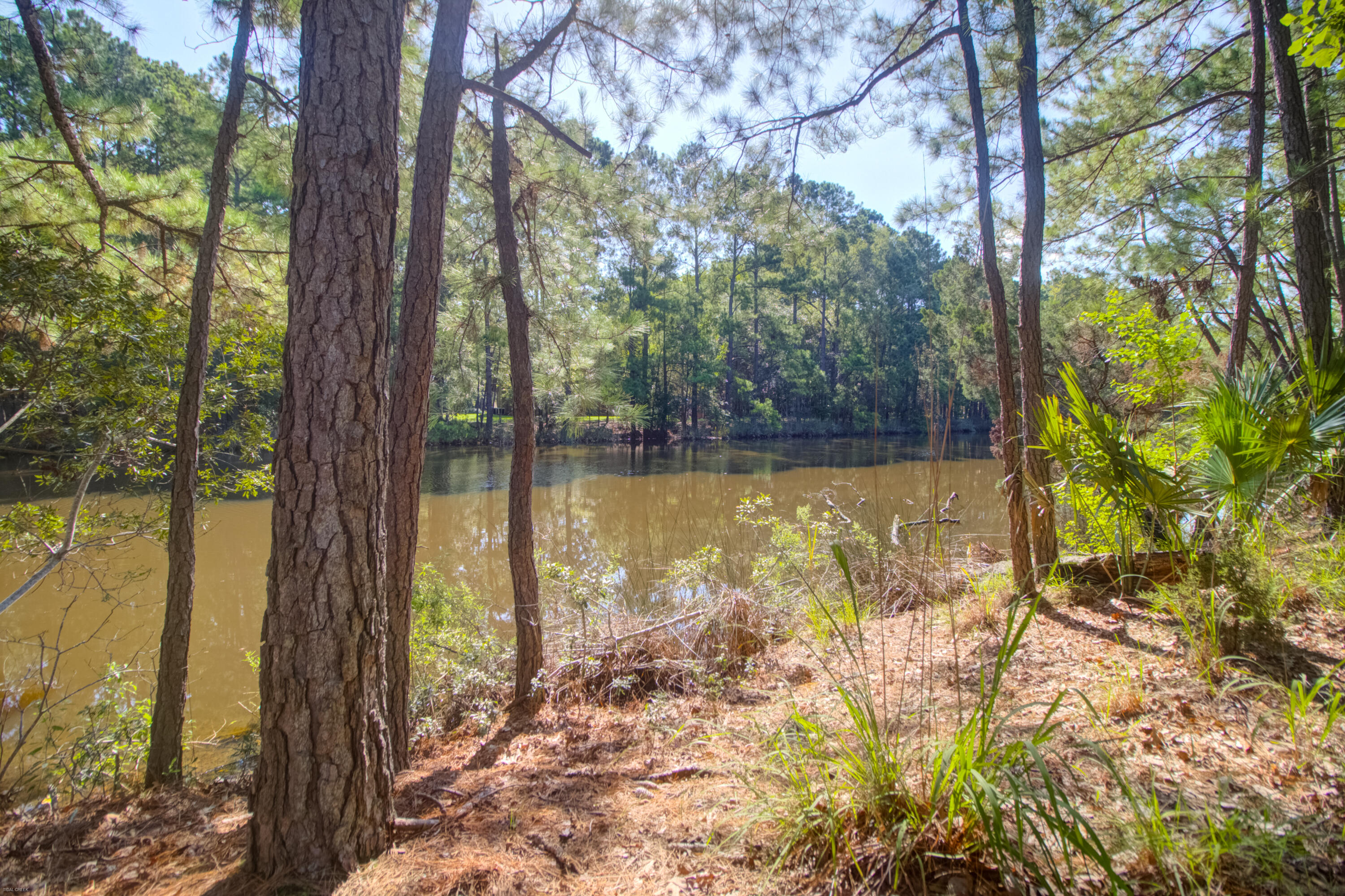 568 Woodspring Road Mount Pleasant, SC 29466 - Photo 50 of 56 Catch spot tail and trout