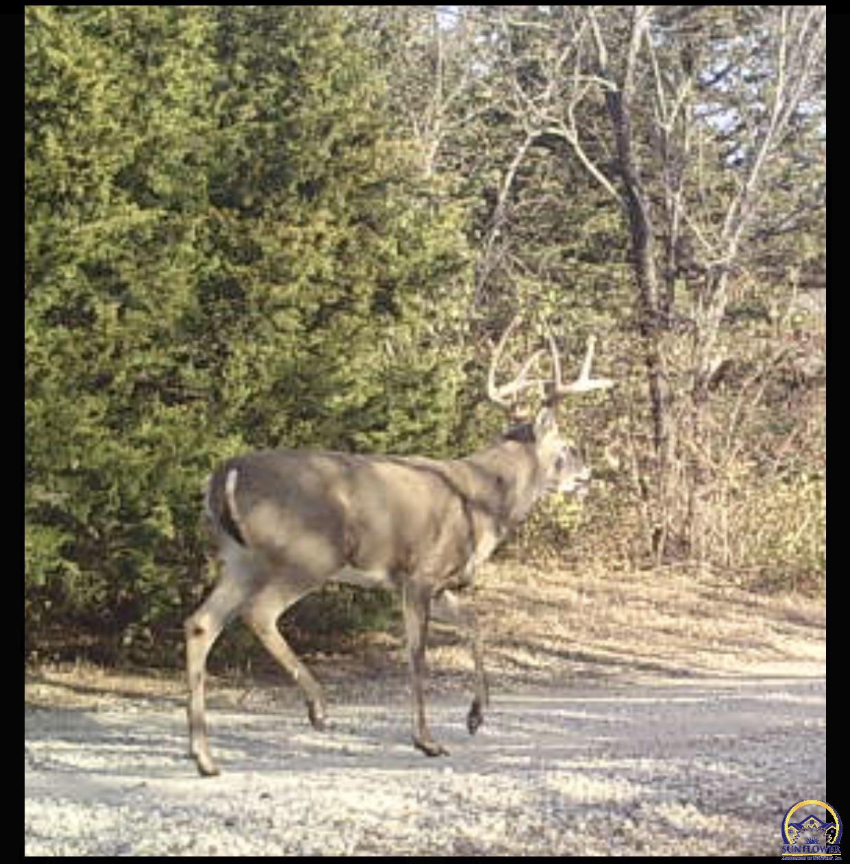 10729 Southwest Hoch Road Auburn, KS 66402 - Photo 78 of 89
