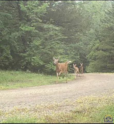 $595,500 | 10729 Southwest Hoch Road, Auburn, KS 66402