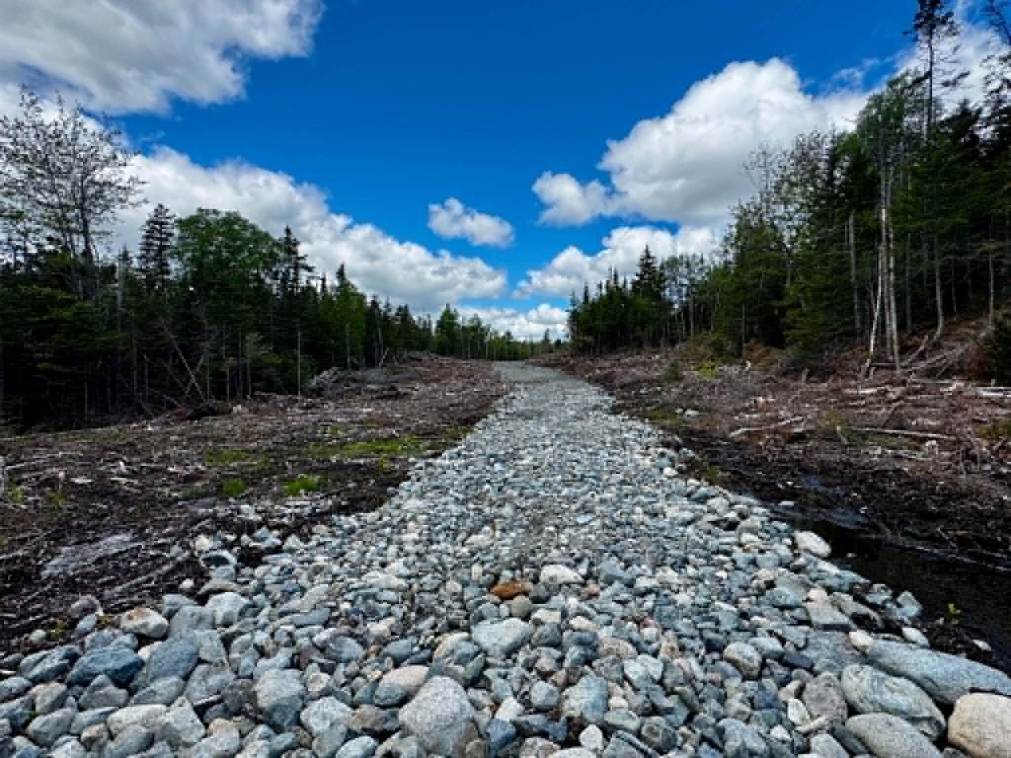 Lot 49 Port Road Machiasport, ME 04655 - Photo 1 of 14 12