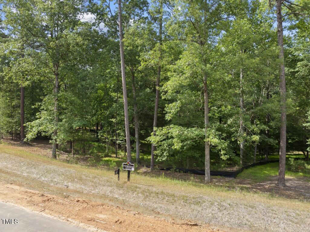 6736 Brixley Crest Raleigh, NC 27614 - Photo 3 of 37 DJI_20250617163348_0141_D (Medium)