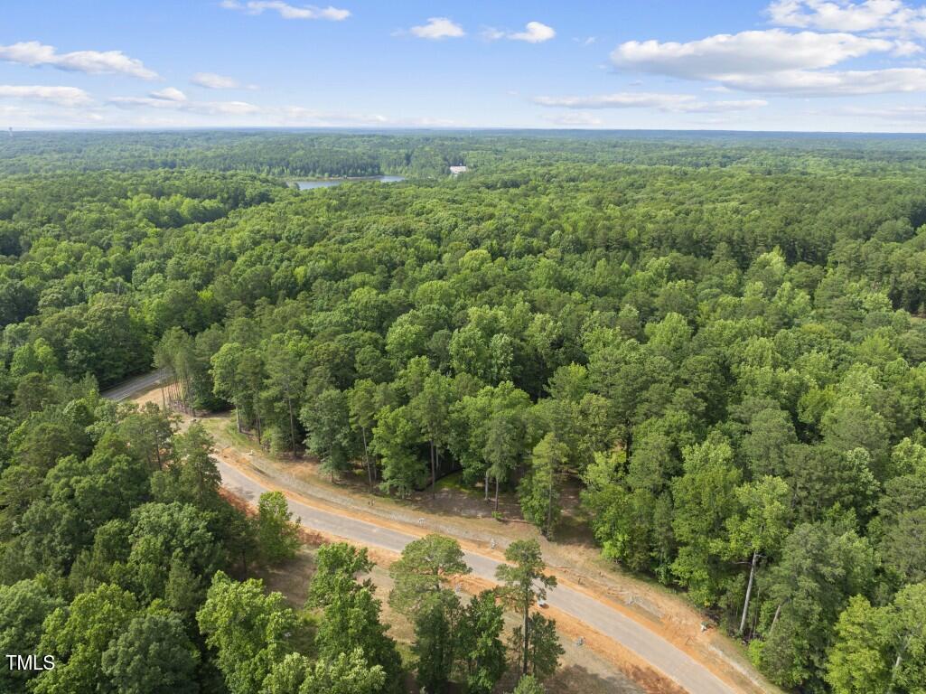 6736 Brixley Crest Raleigh, NC 27614 - Photo 4 of 37 DJI_20250617162728_0090_D (Medium)