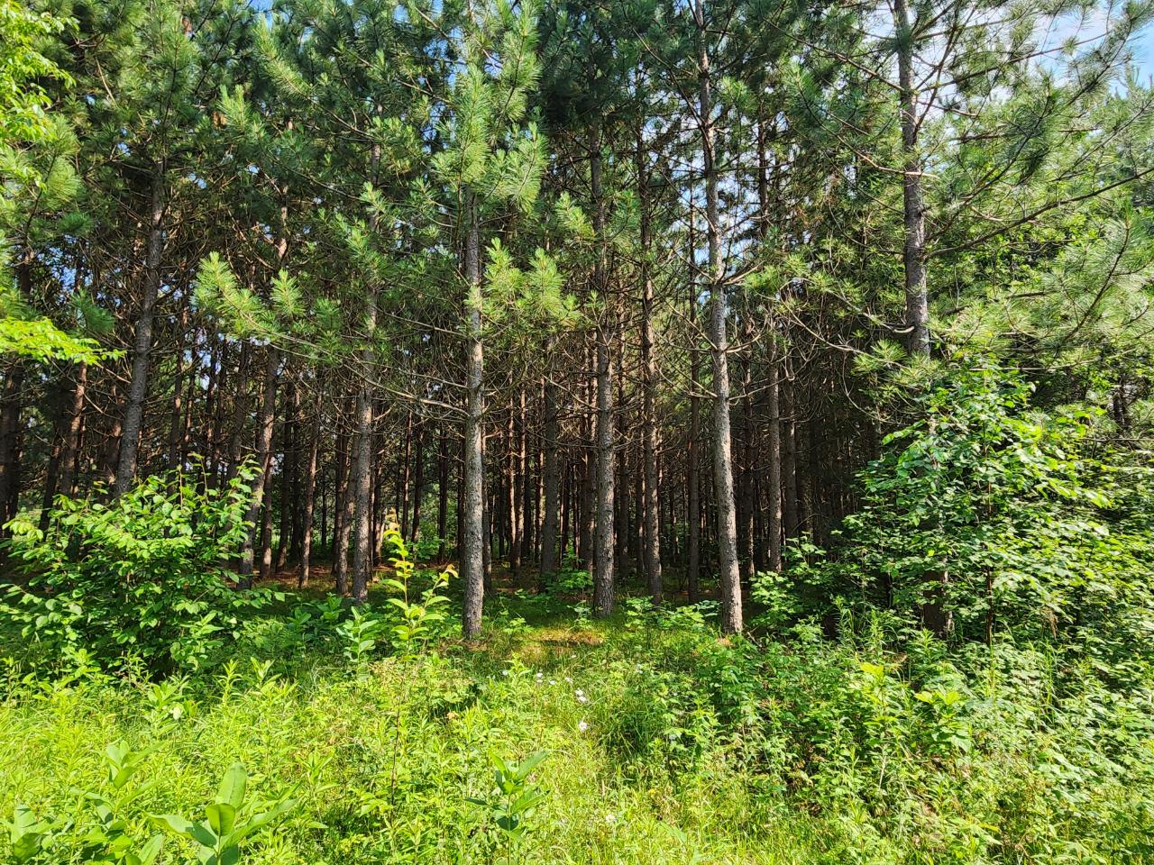 18765 Wallow Road Glidden, WI 54527 - Photo 52 of 58 Gallery Image 52