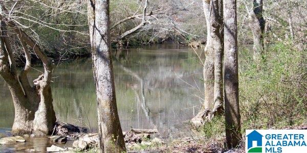 425 County Road 773 Cullman, AL 35055 - Photo 17 of 18