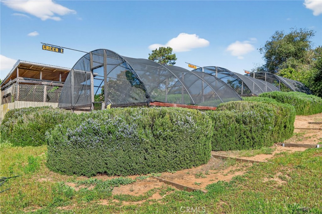 10079 West Lilac Road Escondido, CA 92026 - Photo 34 of 50 a view of a back yard