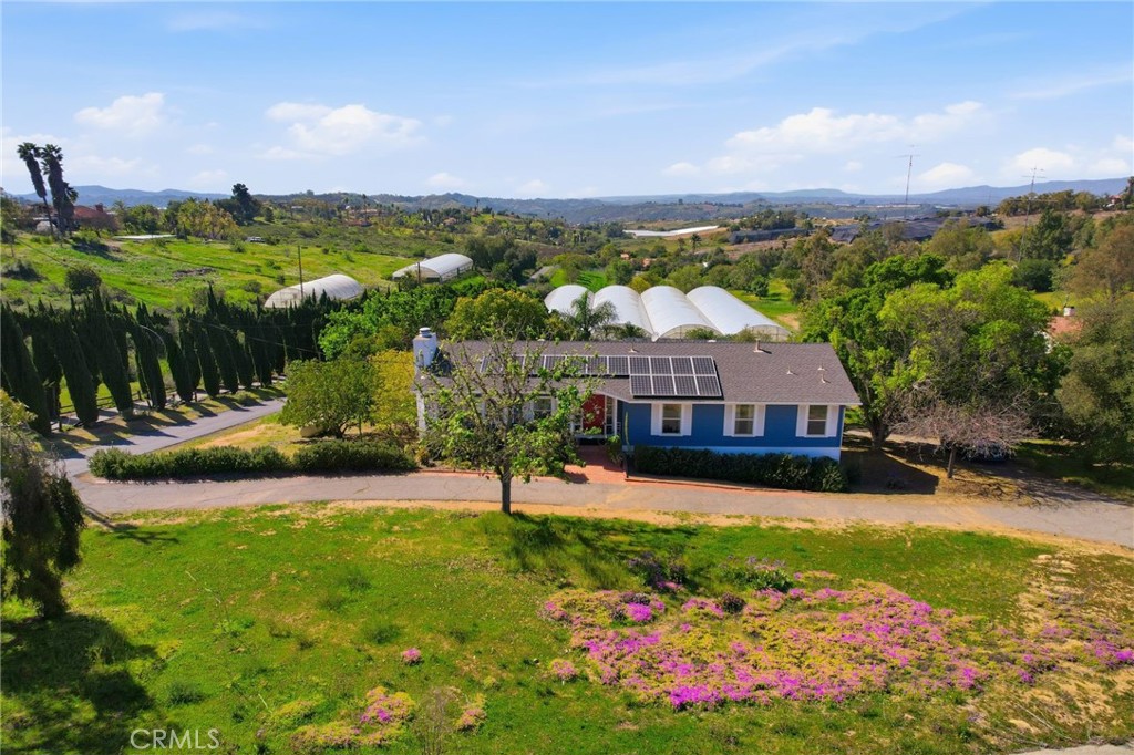 10079 West Lilac Road Escondido, CA 92026 - Photo 5 of 50 a view of a house with a big yard and large trees