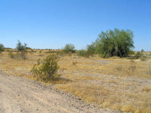 0 West Indian Road, Unit 1 Gila Bend, AZ 85337 - Photo 1 of 5 Primary Photo