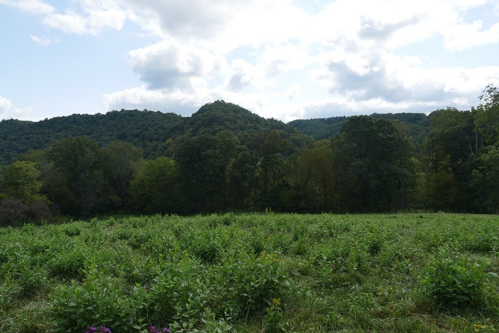 Tbd South Fork River Road, Unit 1 Glade Spring, VA 24340 - Photo 50 of 57 Gallery Image 50