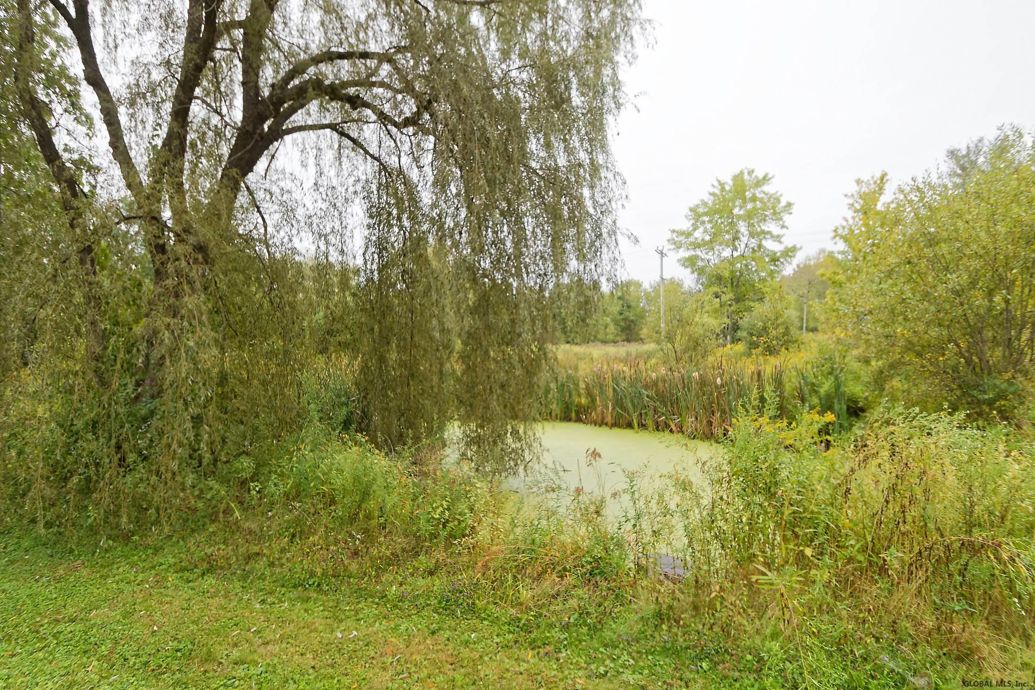 27 Rustic Bridge Road Rexford, NY 12148 - Photo 50 of 68 Photo 50