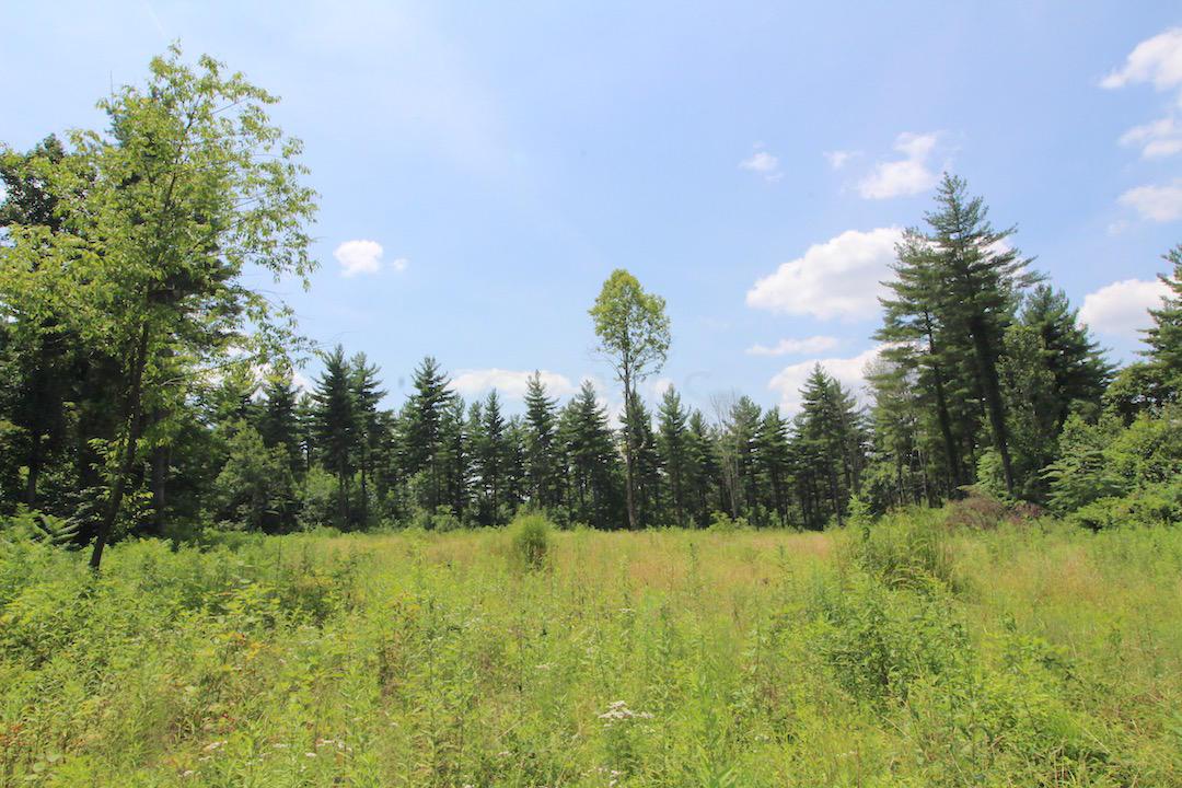 34187 Mt Hope Ridge Road Graysville, OH 45734 - Photo 13 of 51