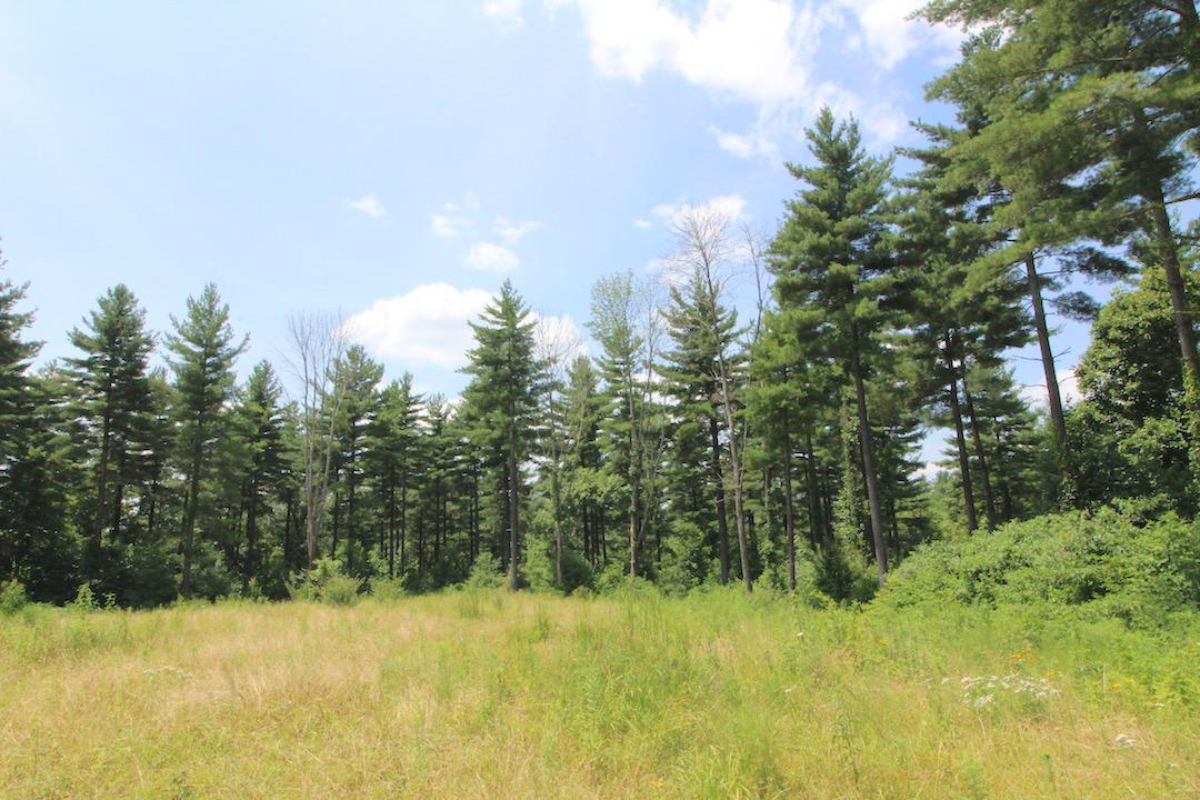 34187 Mt Hope Ridge Road Graysville, OH 45734 - Photo 14 of 51