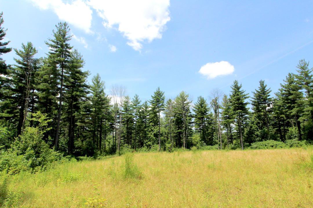 34187 Mt Hope Ridge Road Graysville, OH 45734 - Photo 15 of 51