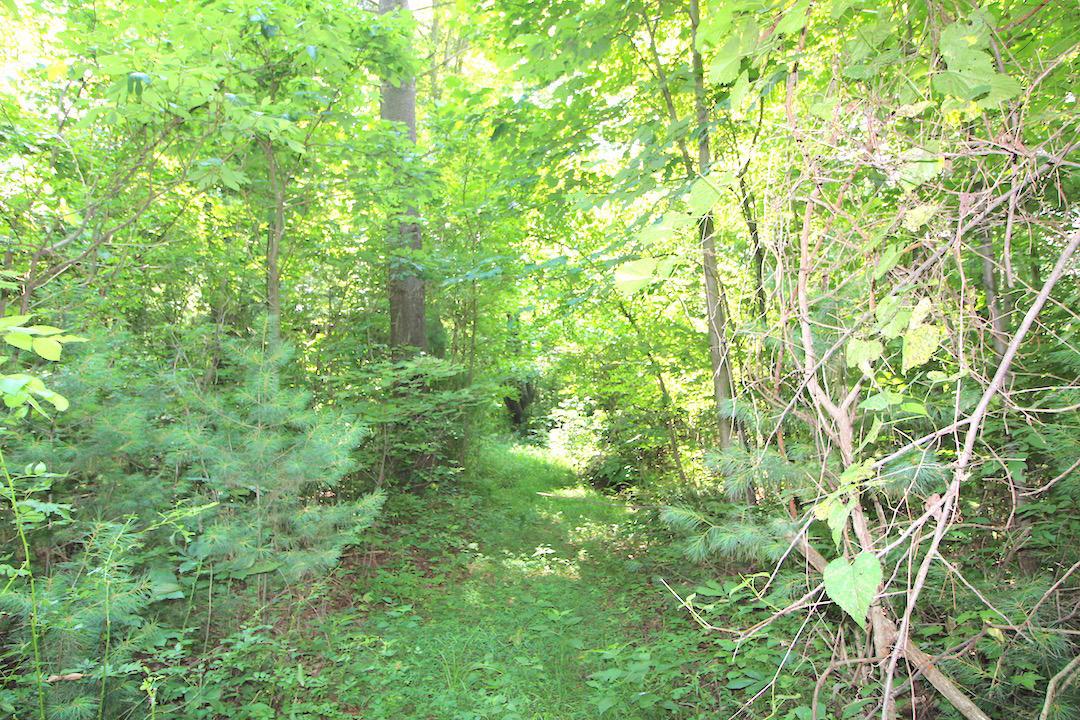 34187 Mt Hope Ridge Road Graysville, OH 45734 - Photo 16 of 51