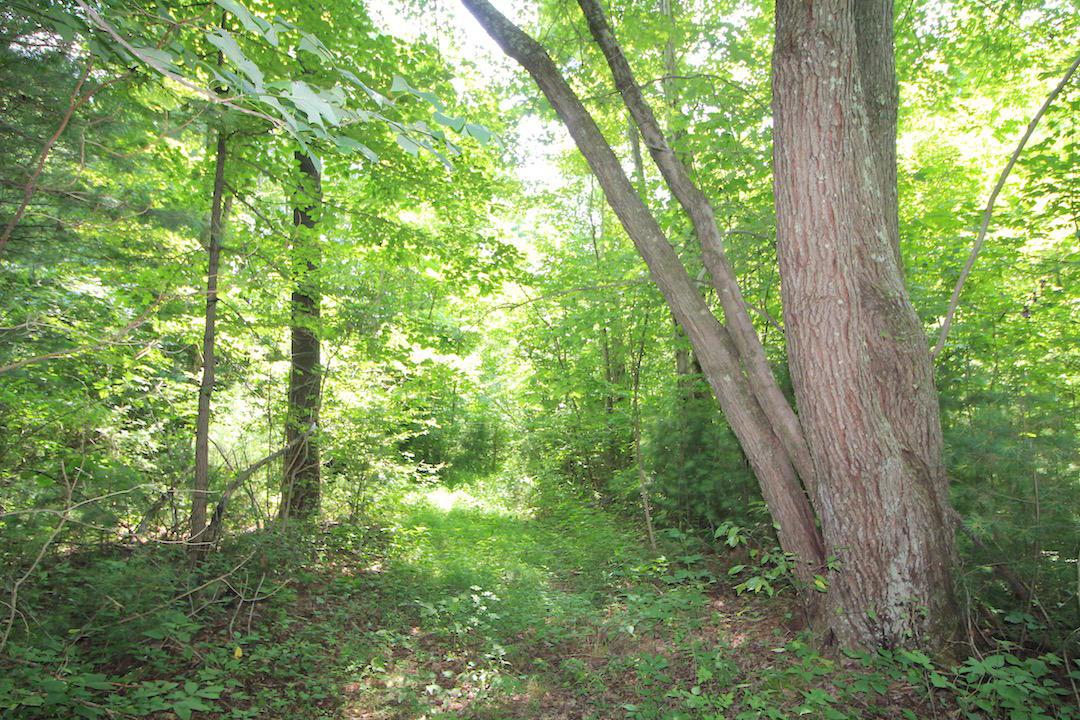 34187 Mt Hope Ridge Road Graysville, OH 45734 - Photo 17 of 51