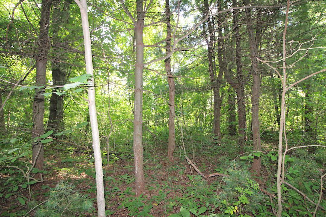 34187 Mt Hope Ridge Road Graysville, OH 45734 - Photo 18 of 51