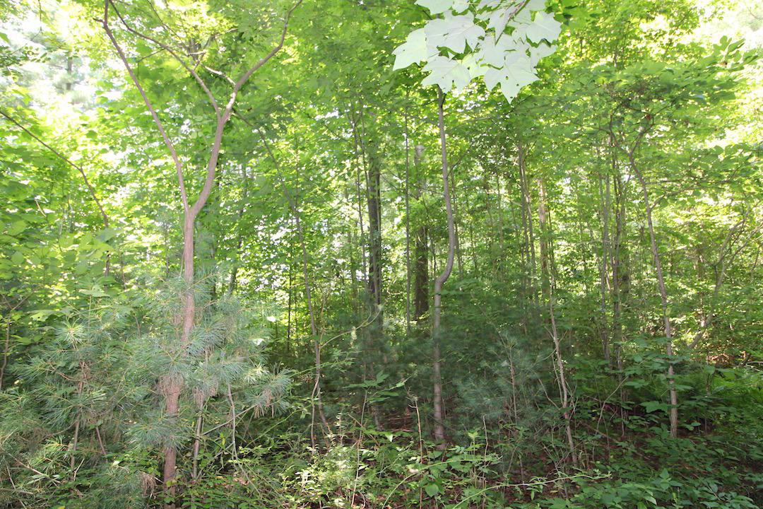 34187 Mt Hope Ridge Road Graysville, OH 45734 - Photo 19 of 51