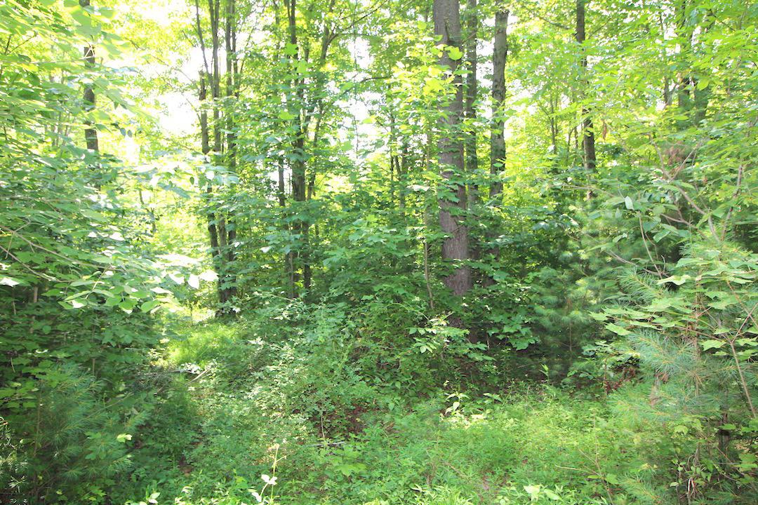 34187 Mt Hope Ridge Road Graysville, OH 45734 - Photo 20 of 51