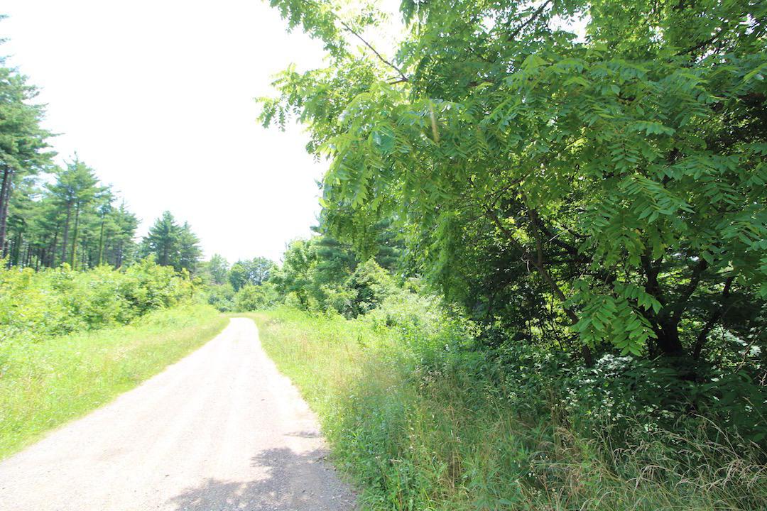 34187 Mt Hope Ridge Road Graysville, OH 45734 - Photo 2 of 51