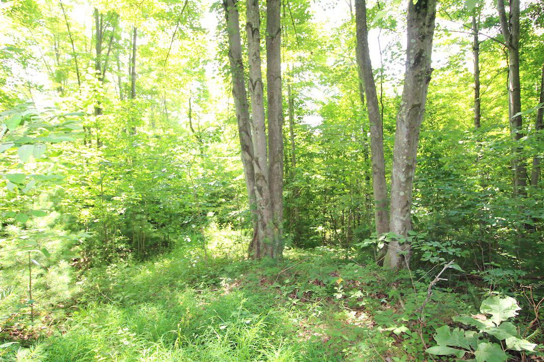 34187 Mt Hope Ridge Road Graysville, OH 45734 - Photo 21 of 51