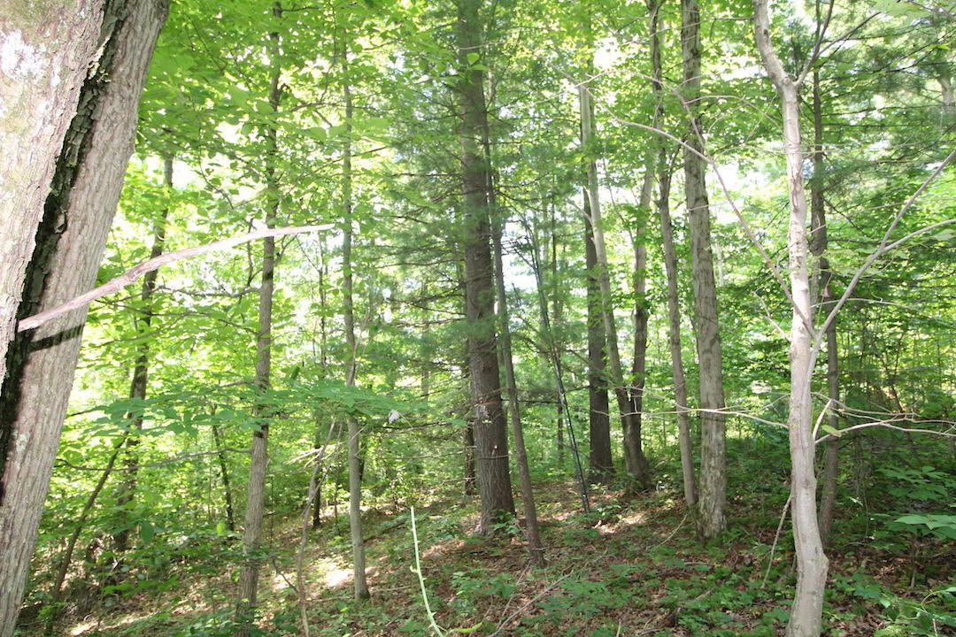 34187 Mt Hope Ridge Road Graysville, OH 45734 - Photo 23 of 51