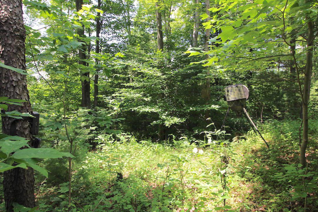 34187 Mt Hope Ridge Road Graysville, OH 45734 - Photo 24 of 51
