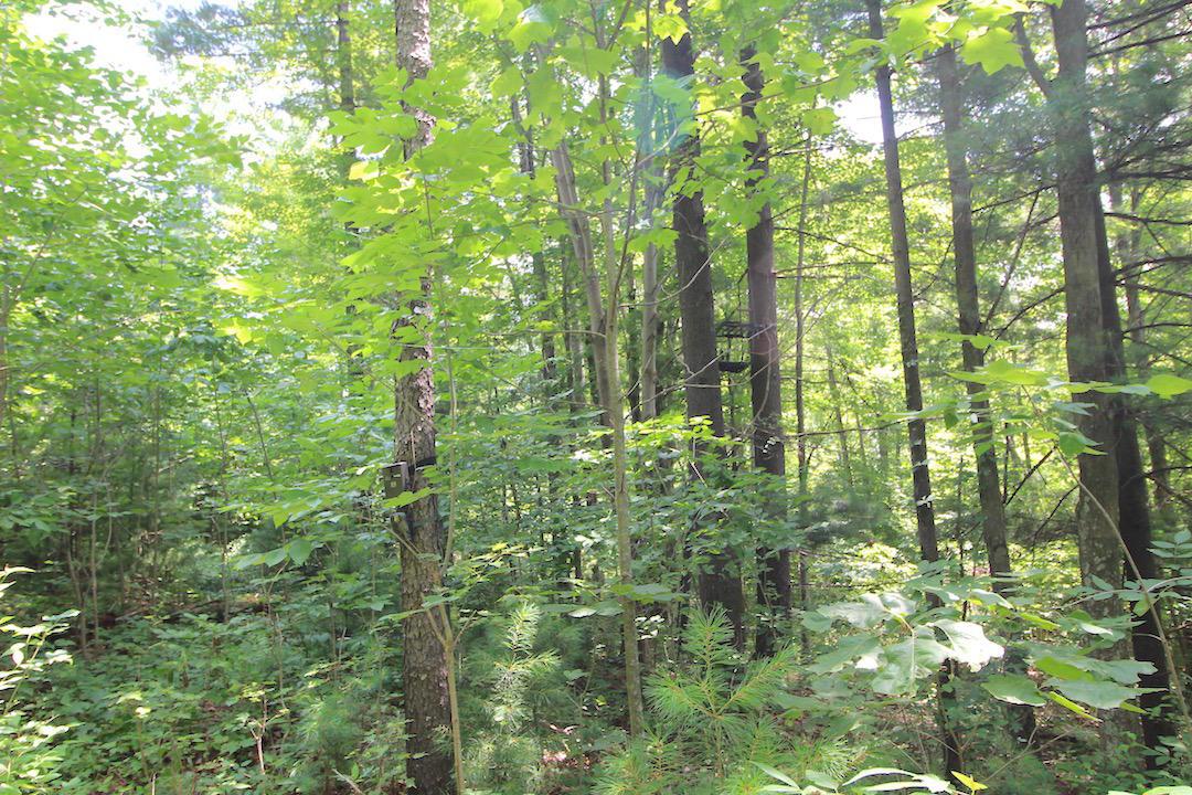 34187 Mt Hope Ridge Road Graysville, OH 45734 - Photo 25 of 51