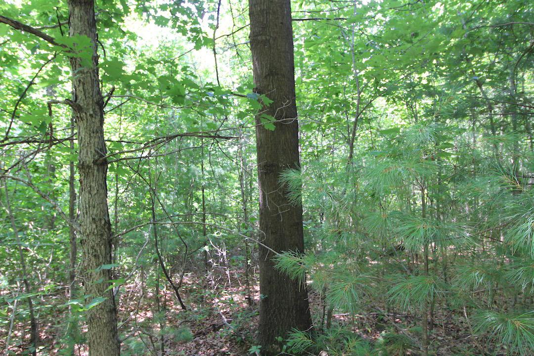 34187 Mt Hope Ridge Road Graysville, OH 45734 - Photo 26 of 51